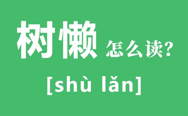 树懒怎么读,树懒和考拉的区别,树懒为什么这么慢