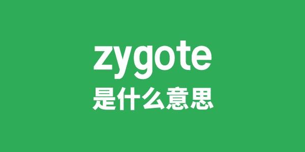 zygote是什么意思