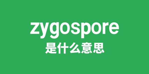 zygospore是什么意思