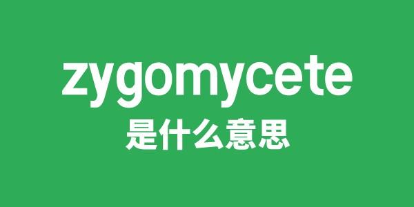 zygomycete是什么意思