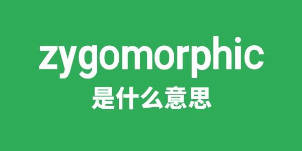 zygomorphic是什么意思