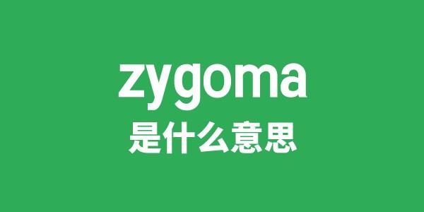 zygoma是什么意思