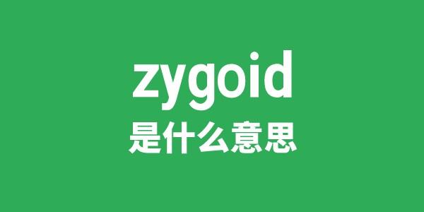 zygoid是什么意思