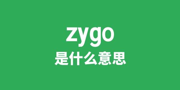 zygo是什么意思