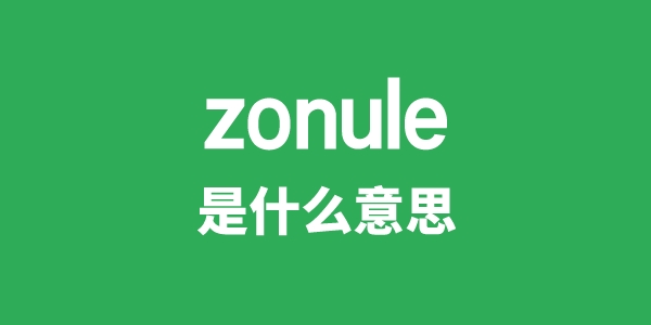 zonule是什么意思