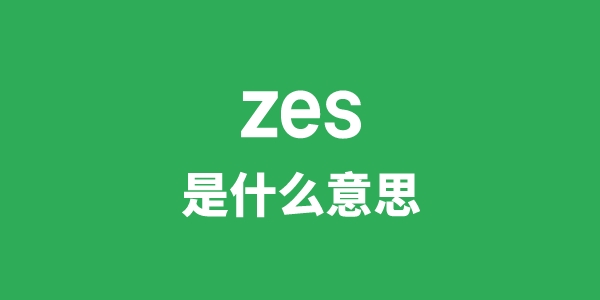 zes是什么意思