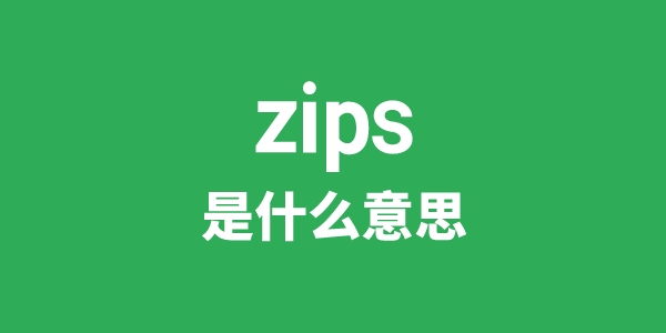 zips是什么意思