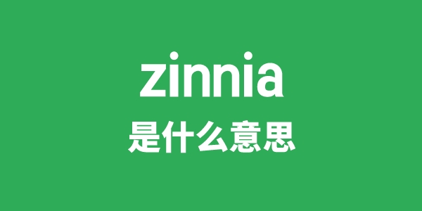 zinnia是什么意思