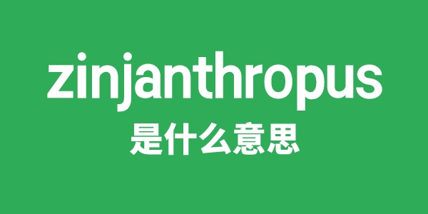 zinjanthropus是什么意思