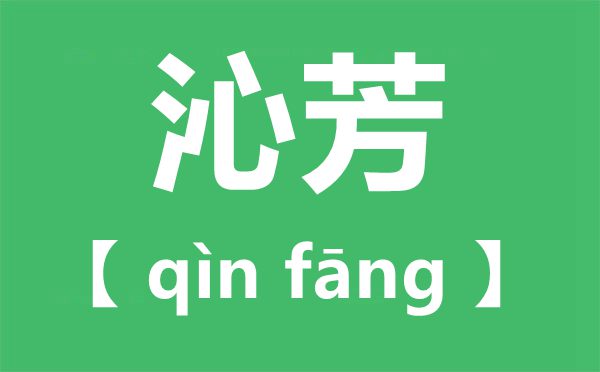 沁芳的意思是什么,红楼梦中的“沁芳”好在哪里