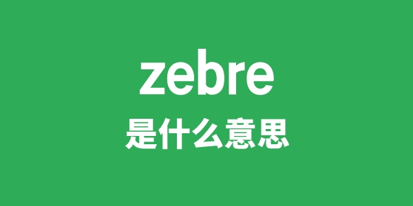 zebre是什么意思