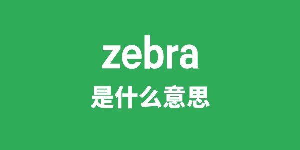 zebra是什么意思