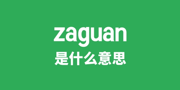 zaguan是什么意思