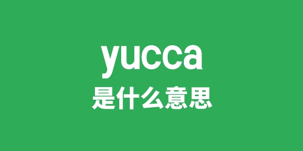 yucca是什么意思