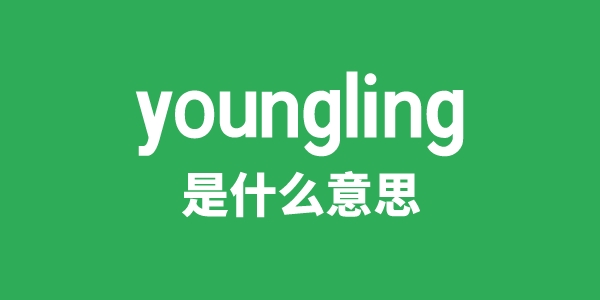 youngling是什么意思