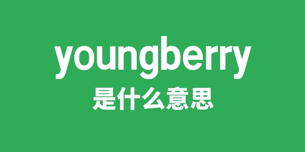 youngberry是什么意思