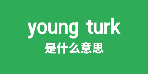 young turk是什么意思