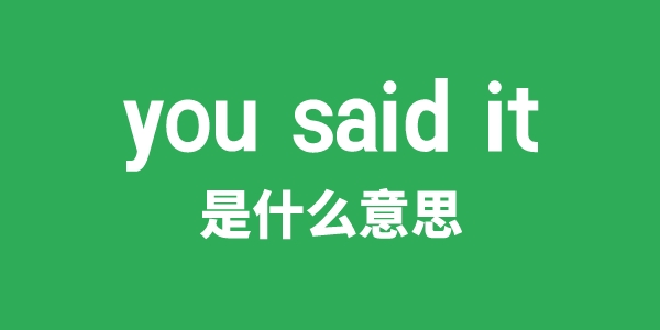 you said it是什么意思