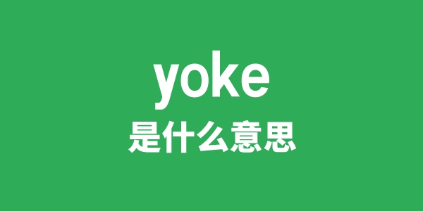 yoke是什么意思