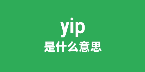 yip是什么意思