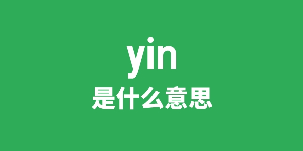 yin是什么意思