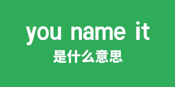 you name it是什么意思