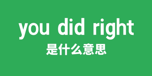 you did right是什么意思