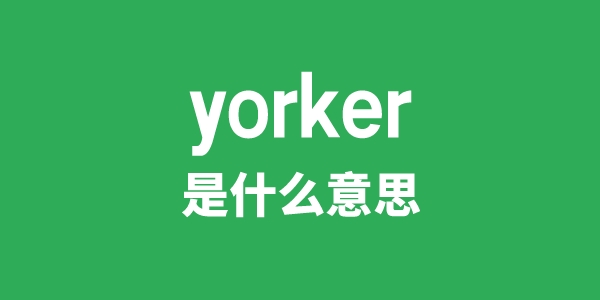 yorker是什么意思