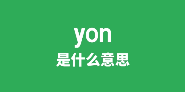 yon是什么意思