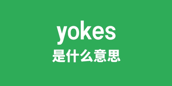 yokes是什么意思