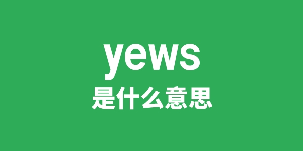 yews是什么意思