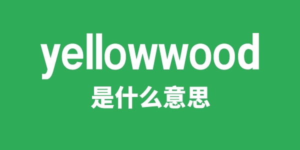 yellowwood是什么意思