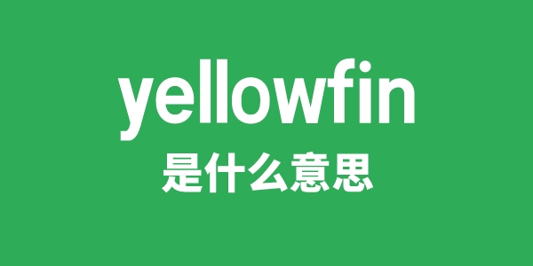 yellowfin是什么意思