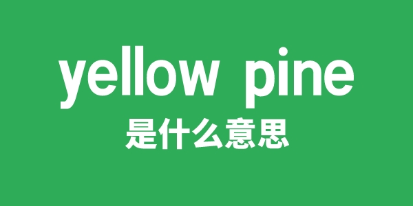 yellow pine是什么意思