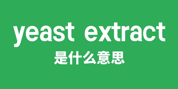 yeast extract是什么意思