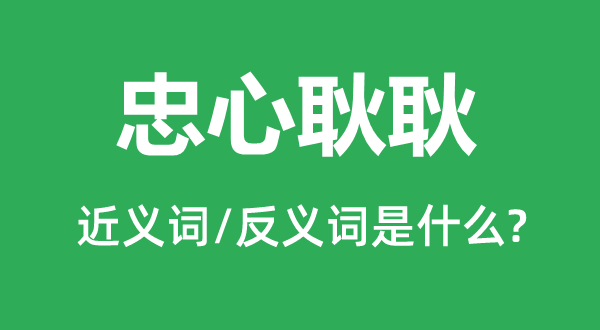 忠心耿耿的近义词和反义词是什么,忠心耿耿是什么意思