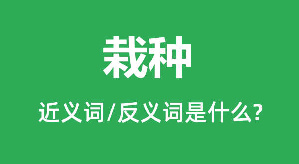 栽种的近义词和反义词是什么,栽种是什么意思