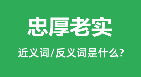 忠厚老实的近义词和反义词是什么,忠厚老实是什么意思