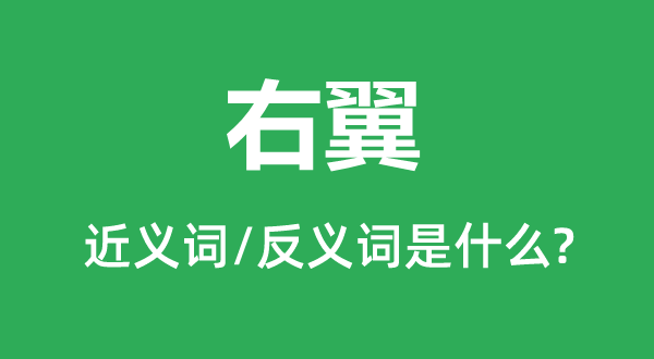 右翼的近义词和反义词是什么,右翼是什么意思