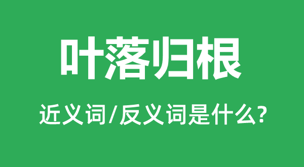 叶落归根的近义词和反义词是什么,叶落归根是什么意思