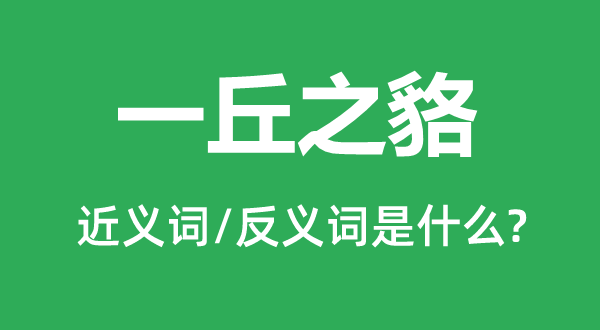 一丘之貉的近义词和反义词是什么,一丘之貉是什么意思