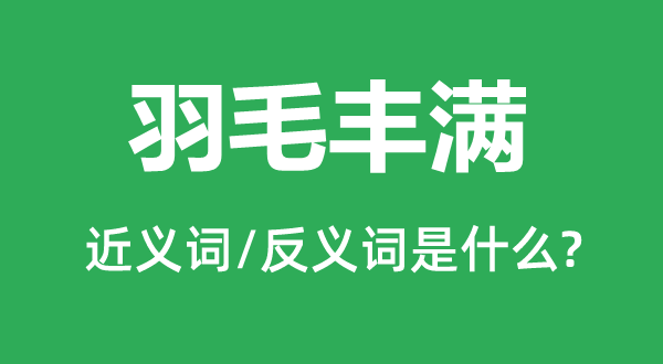 羽毛丰满的近义词和反义词是什么,羽毛丰满是什么意思