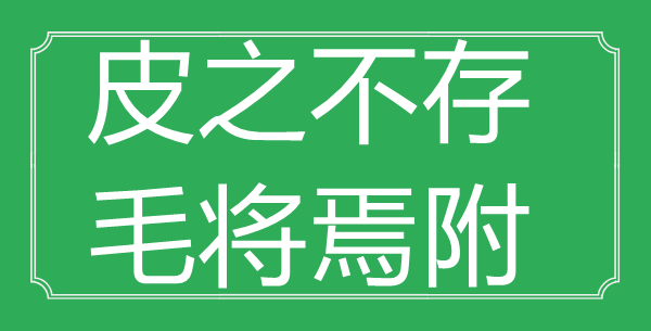 “皮之不存，毛将焉附”的意思出处及全文赏析