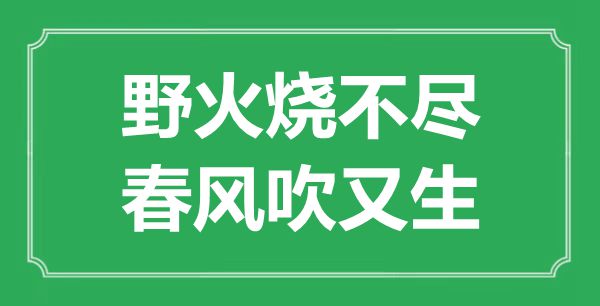 “野火烧不尽，春风吹又生”是什么意思,出处是哪里