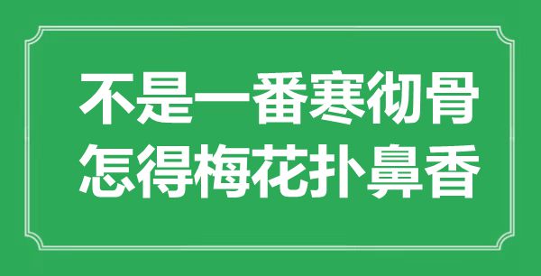 “不是一番寒彻骨，怎得梅花扑鼻香”是什么意思,出处是哪里