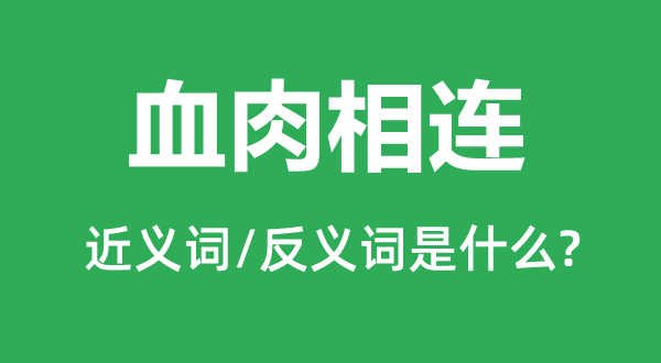 血肉相连的近义词和反义词是什么,血肉相连是什么意思