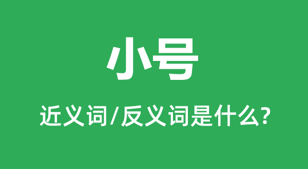 小号的近义词和反义词是什么,小号是什么意思