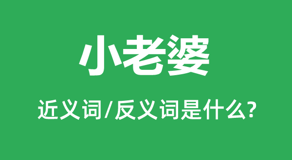 小老婆的近义词和反义词是什么,小老婆是什么意思