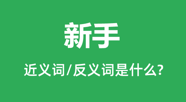 新手的近义词和反义词是什么,新手是什么意思