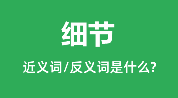 细节的近义词和反义词是什么,细节是什么意思